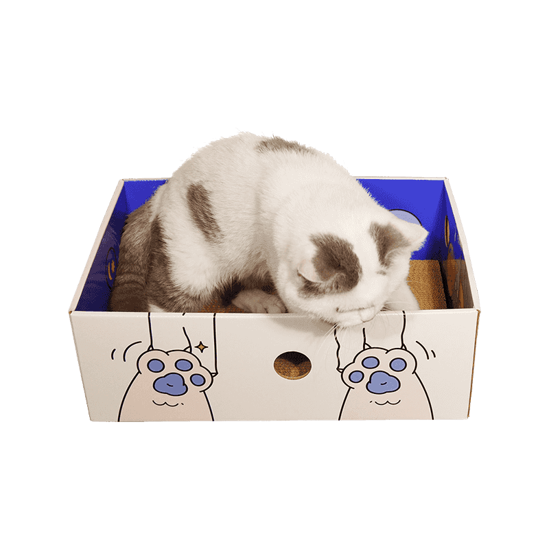 Caja de arena para gatos de papel corrugado